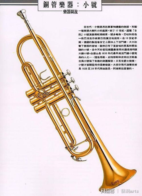 探秘最炫酷的銅管樂器 從古典到現(xiàn)代的魅力之聲
